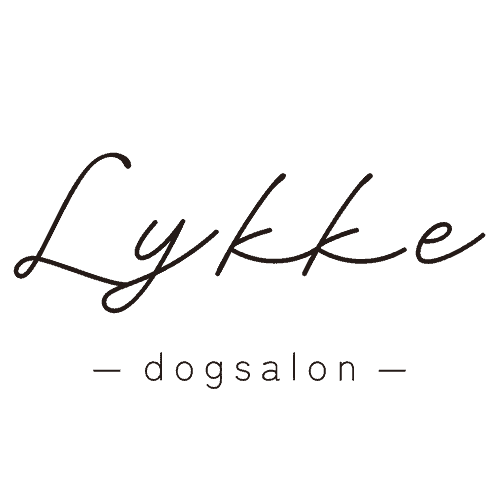 神戸市灘区岩屋駅5分・灘駅8分のトリミングサロン｜dogsalon Lykke ドッグサロンリュッケ